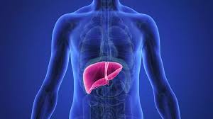 علامات خلل الكبد