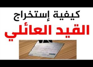 بعد واقعة عبد المنصف.. كيفية استخراج قيد عائلي من السجل المدني