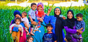 وزارة التضامن تبدأ صرف معاش تكافل وكرامة لشهر يناير 2026 لـ4.7 مليون أسرة