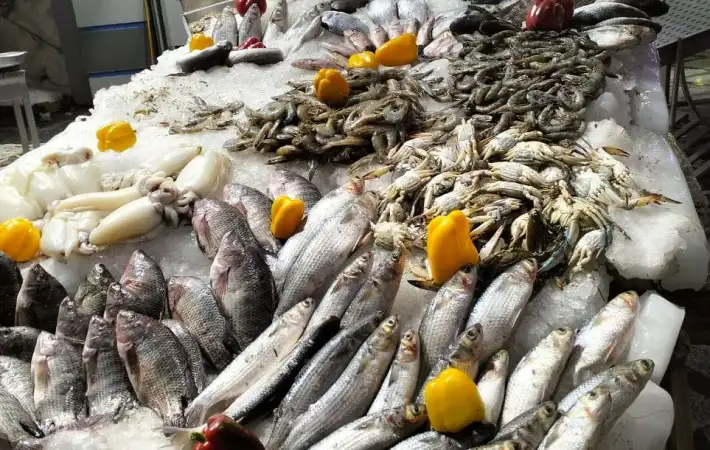 جميع انواع المآكولات البحرية.. سعر الأسماك اليوم الإثنين 26 يناير 2026